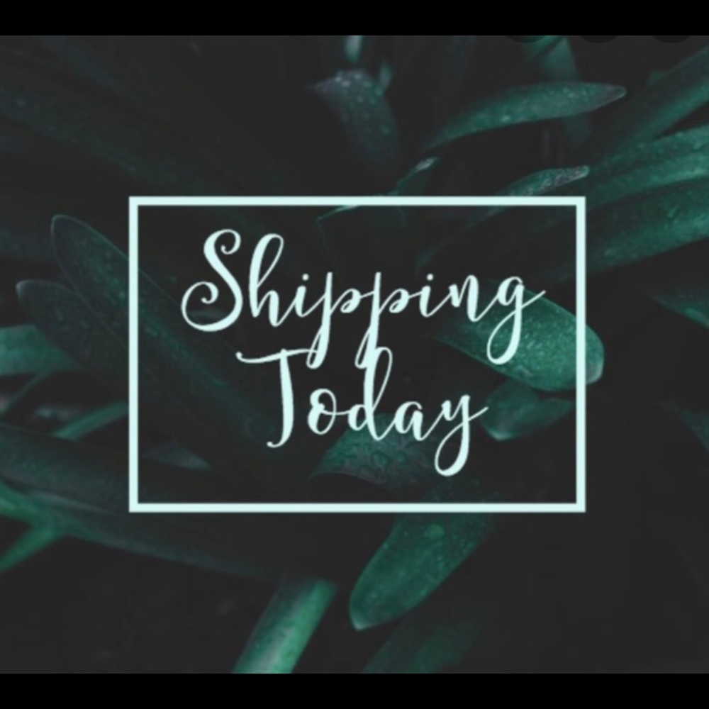 Shipping items out today! OPEN TO OFFERS